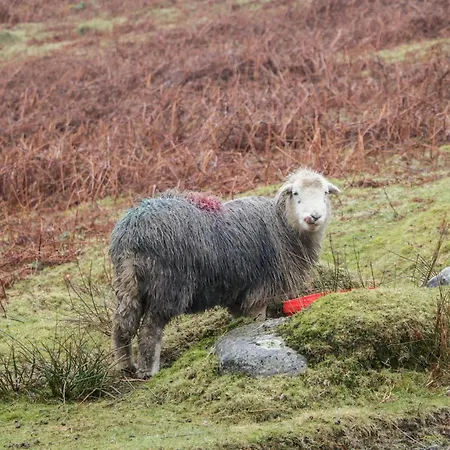 Howgill * Kendal